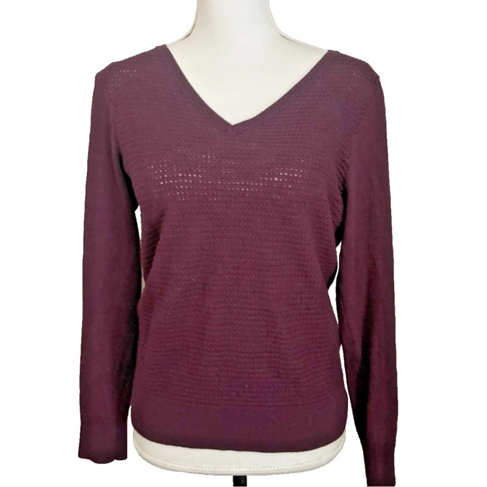 The Limited Merino Wool Blend Burgundy V-Neck Sweater